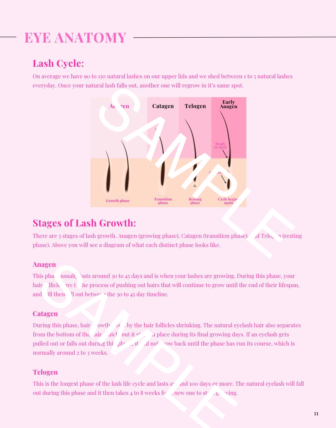 Online Lash Course